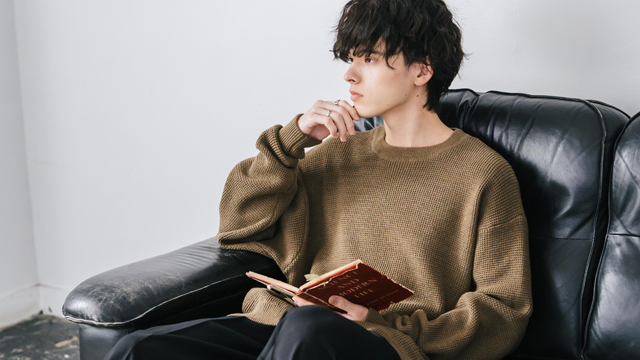 モデルイメージ